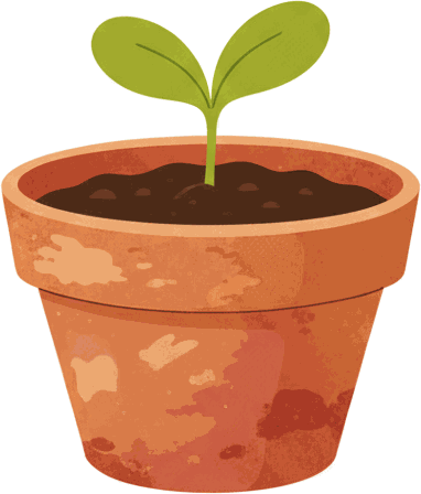 A small sprout in a terracotta pot